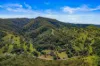 664 Scone Road, Copeland via, Gloucester, NSW 2422-Image
