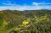 664 Scone Road, Copeland via, Gloucester NSW 2422-Image