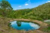 664 Scone Road, Copeland via, Gloucester NSW 2422-Image