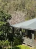 664 Scone Road, Copeland via, Gloucester NSW 2422-Image