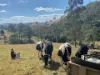 664 Scone Road, Copeland via, Gloucester NSW 2422-Image