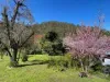 664 Scone Road, Copeland via, Gloucester NSW 2422-Image