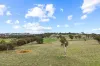 664 Yass River Road, Yass, NSW 2582-Image