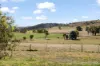 665 Freemantle Road, Mount Rankin, NSW 2795-Image