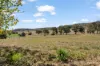 665 Freemantle Road, Mount Rankin, NSW 2795-Image