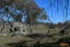 67  Kerry Lane, Avonside, NSW 2628-Image