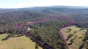 67 Still Road, Valencia Creek, Vic 3860