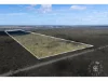 6709 Murraylands Road, Punyelroo, SA 5353-Image