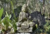 677 Blaxlands Arm Road, Laguna, NSW 2325-Image