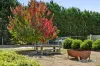 68 Sultana Road, Blakeville, Vic 3342-Image