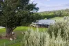 68 Sultana Road, Blakeville, Vic 3342-Image
