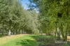 68 Sultana Road, Blakeville, Vic 3342-Image