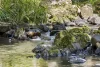 684 Urliup Road, Urliup, NSW 2484