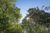 684 Urliup Road, Urliup, NSW 2484-Image