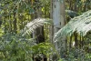 684 Urliup Road, Urliup, NSW 2484-Image