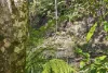 684 Urliup Road, Urliup, NSW 2484-Image