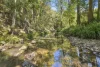 684 Urliup Road, Urliup, NSW 2484-Image