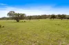 686 Uamby Road, Gulgong, NSW 2852-Image
