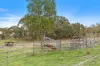 686 Uamby Road, Gulgong, NSW 2852-Image