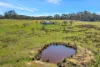 69 Gundowda Road, Mudgee, NSW 2850