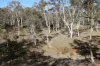 69 Paddys Close, Lower Boro, NSW 2580-Image