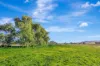 690 Queens Pinch Road, Mudgee, NSW 2850-Image
