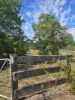 6918 Warrumbungles Way, Coonabarabran, NSW 2357-Image