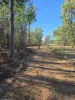 6918 Warrumbungles Way, Coonabarabran, NSW 2357-Image