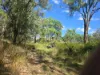 6918 Warrumbungles Way, Coonabarabran, NSW 2357-Image