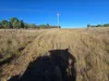 6918 Warrumbungles Way, Coonabarabran, NSW 2357-Image