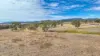 6953 Halls Creek Road, Bendemeer, NSW 2355-Image