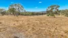 6953 Halls Creek Road, Bendemeer, NSW 2355-Image