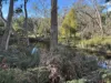 6B, Range Road, Merino, Vic 3310-Image