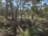6B, Range Road, Merino, Vic 3310-Image