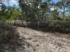 6B, Range Road, Merino, Vic 3310-Image