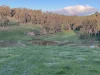 7 Attwood Road, Lowden, WA 6240-Image