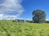 7 Attwood Road, Lowden, WA 6240-Image