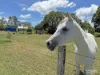 70 Candoormakh Crescent, Nabiac, NSW 2312-Image