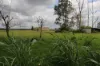 70 Schimkes Lane, Clarendon QLD 4311-Image