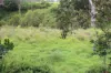 70 Schimkes Lane, Clarendon QLD 4311-Image