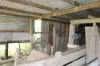 70 Schimkes Lane, Clarendon QLD 4311-Image