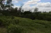 70 Schimkes Lane, Clarendon QLD 4311-Image