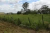70 Schimkes Lane, Clarendon QLD 4311-Image