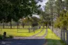 700 Manning Point Road, Oxley Island NSW 2430-Image