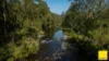 701 Darkwood Road, Bellingen NSW 2454-Image