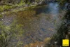 701 Darkwood Road, Bellingen NSW 2454-Image