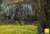 701 Darkwood Road, Bellingen NSW 2454-Image
