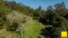 701 Darkwood Road, Bellingen NSW 2454-Image