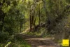701 Darkwood Road, Bellingen NSW 2454-Image