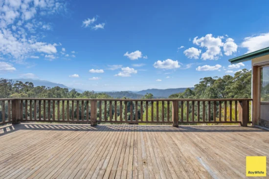 701 Darkwood Road, Thora, NSW 2454